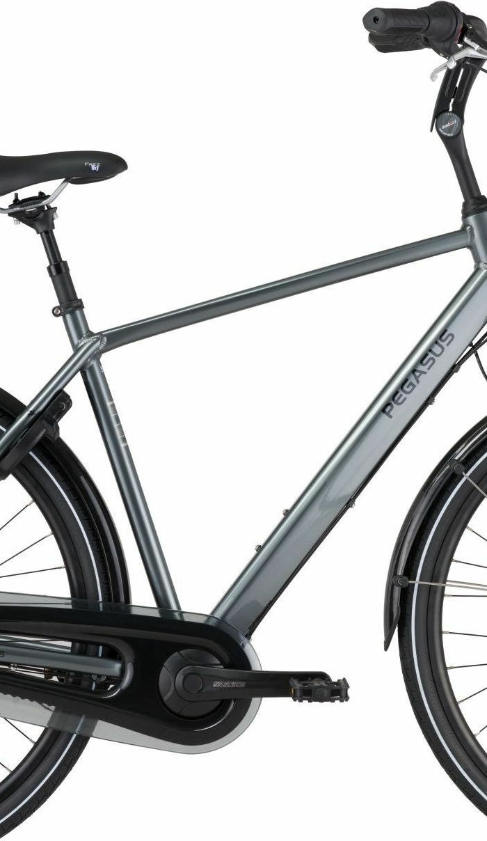 Pegasus Salerno 7 NL, cambio al mozzo a 7 marce, bici da uomo, diamante, modello 2021, 28 pollici