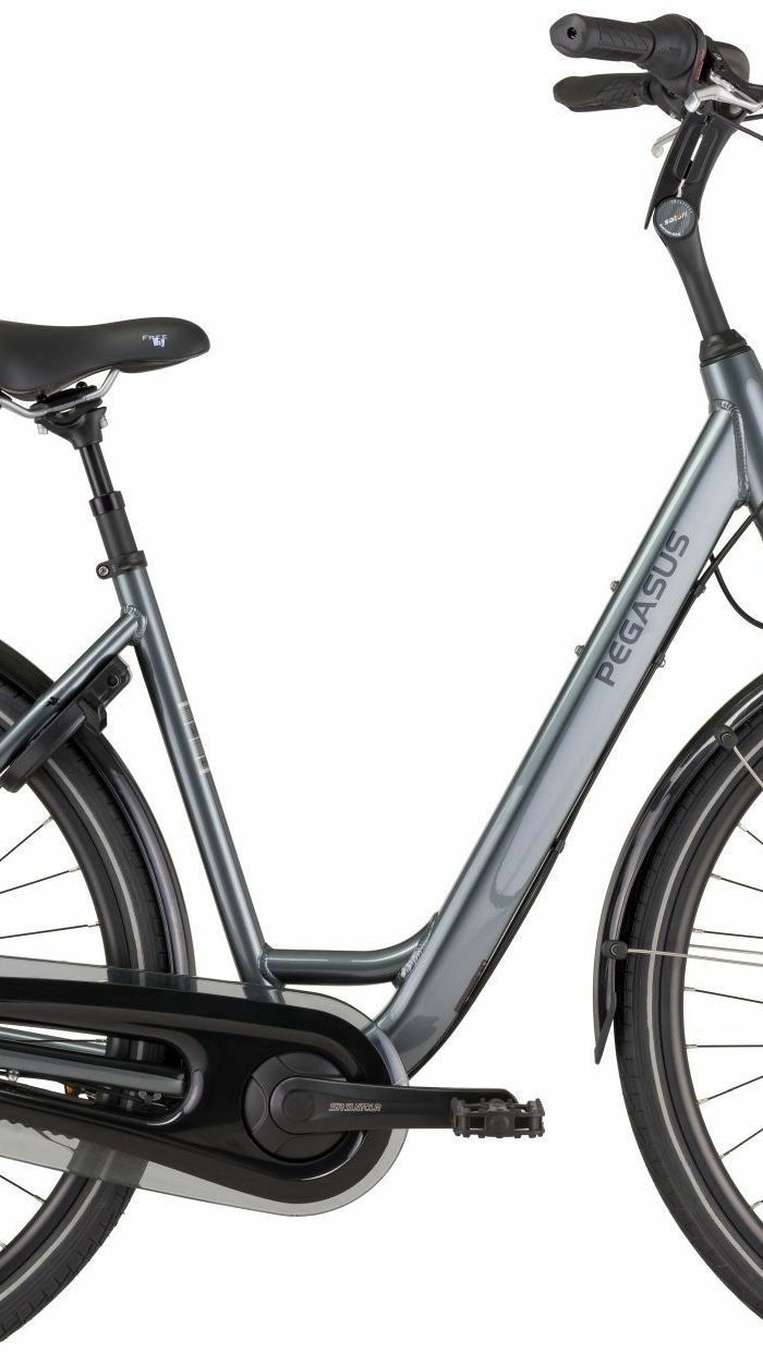Pegasus Salerno 7 NL, cambio al mozzo a 7 marce, bici da donna, Wave, modello 2021, 28 pollici