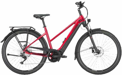 Pegasus Premio Evo 10 Lite (750 Wh), 10-speed derailleur gear, women's bike, trapeze, model 2024, 28 inches