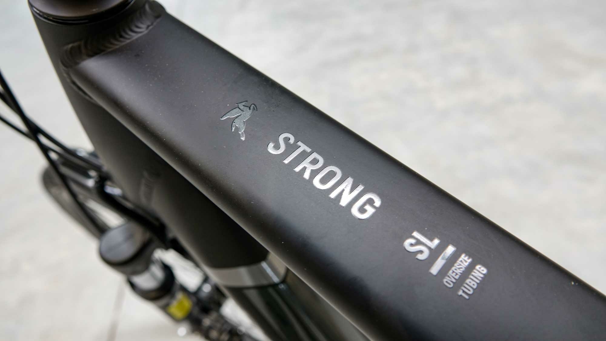 Pegasus Strong SL 8, 8-speed gear hub, men's bike, diamond, model 2021, 28 inches