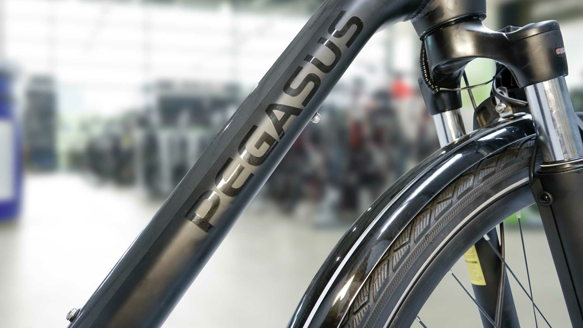 Pegasus Strong SL 8, 8-speed gear hub, men's bike, diamond, model 2021, 28 inches