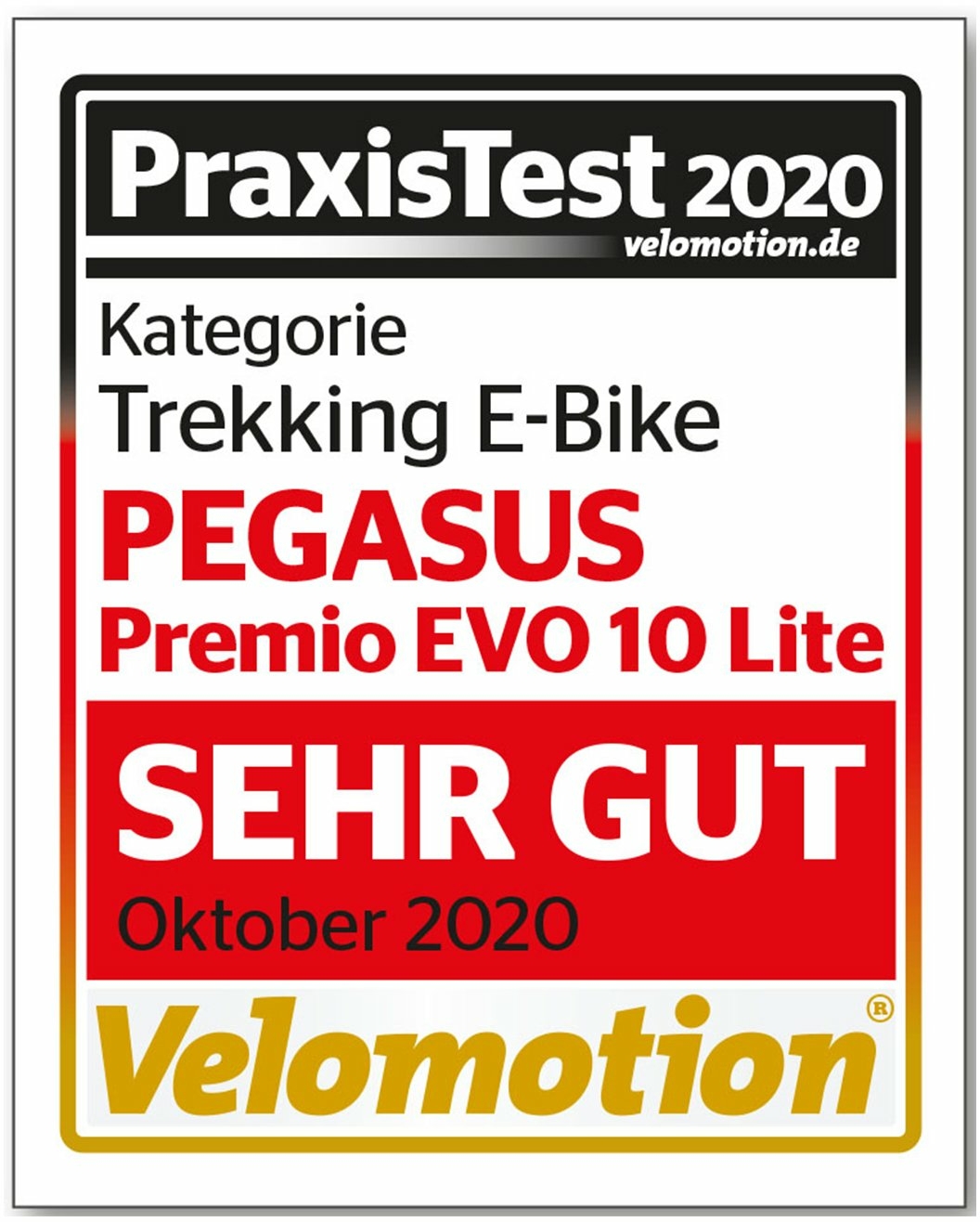 Pegasus Premio Evo 10 Lite (625 Wh), 10 gear derailleur, men's bike, Diamant, model 2020, 28 inches