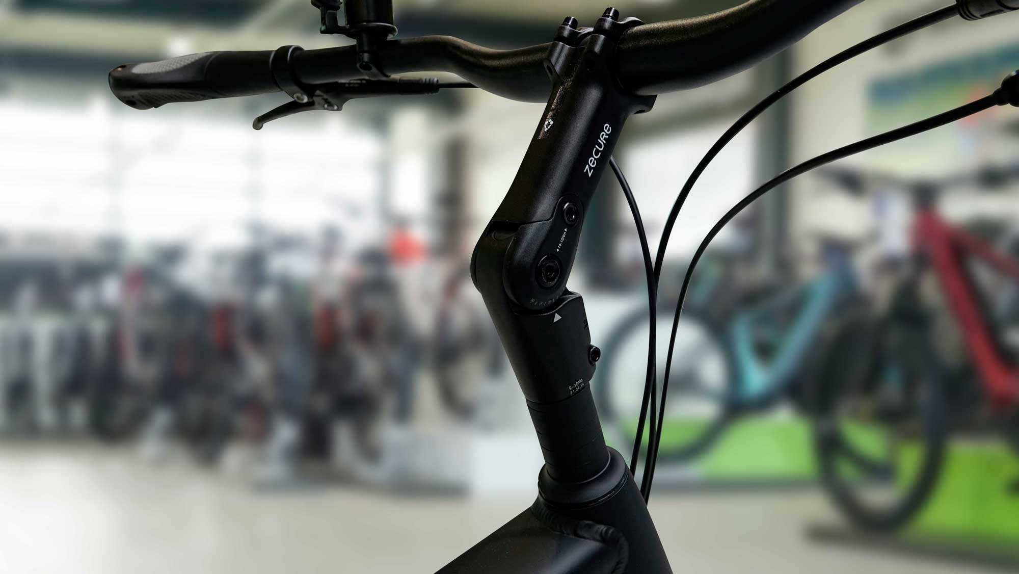 Pegasus Strong SL 8, 8-speed gear hub, men's bike, diamond, model 2021, 28 inches