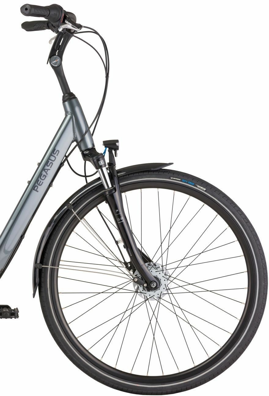 Pegasus Salerno 7 NL, cambio al mozzo a 7 marce, bici da donna, Wave, modello 2021, 28 pollici