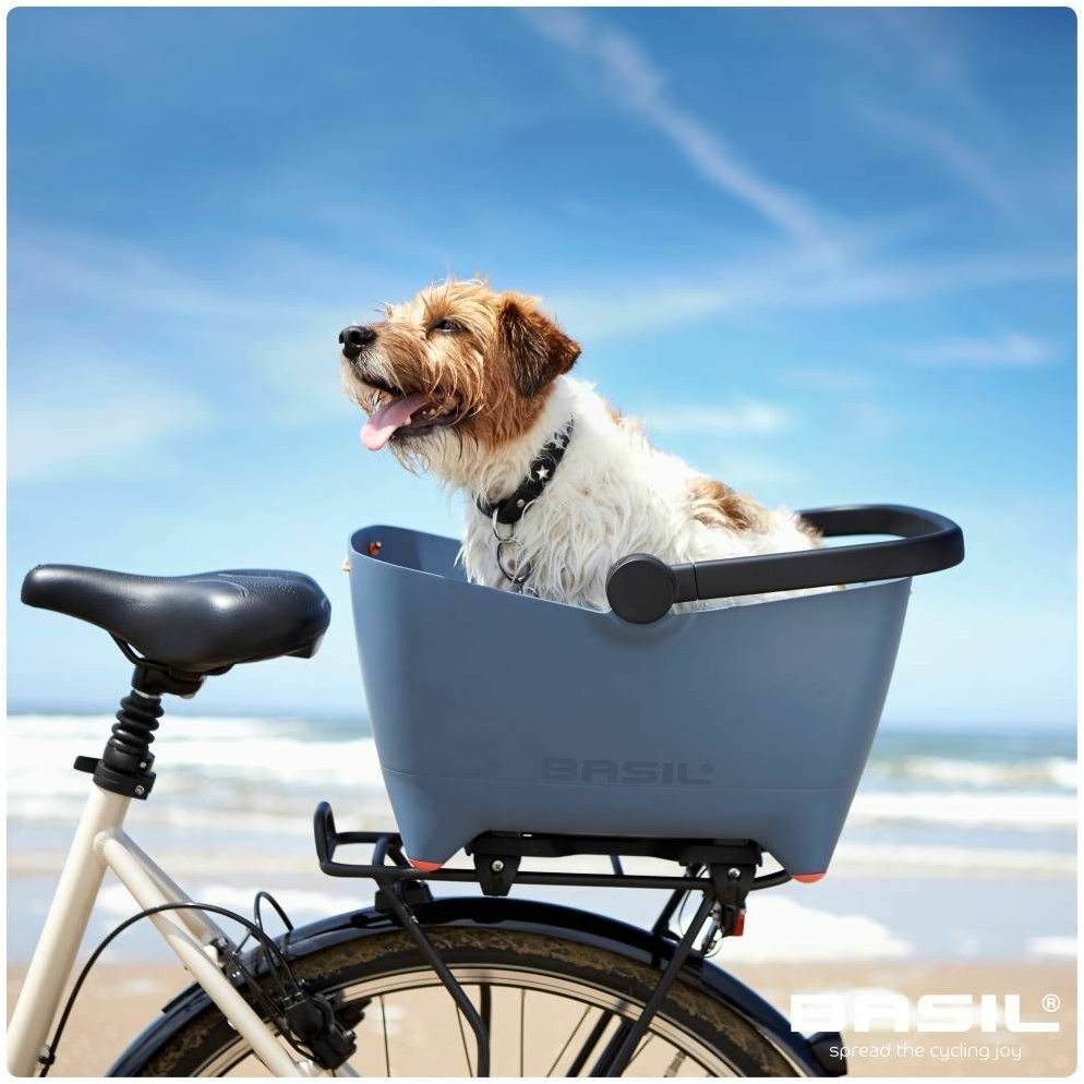 Basilico per cani senza barre blu Buddy