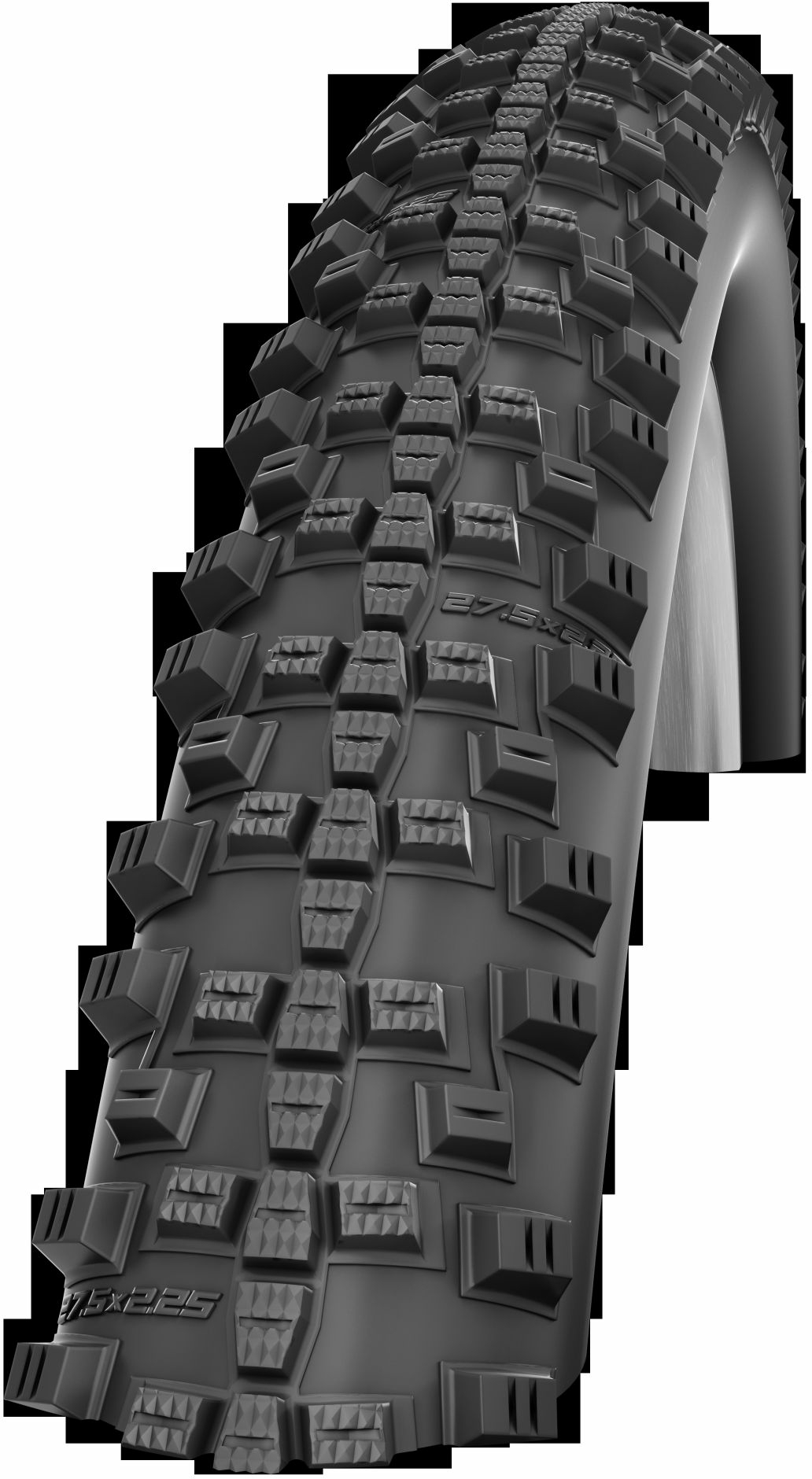 Schwalbe Performance Line - Performance, Smart Sam 54-507 da 24 pollici