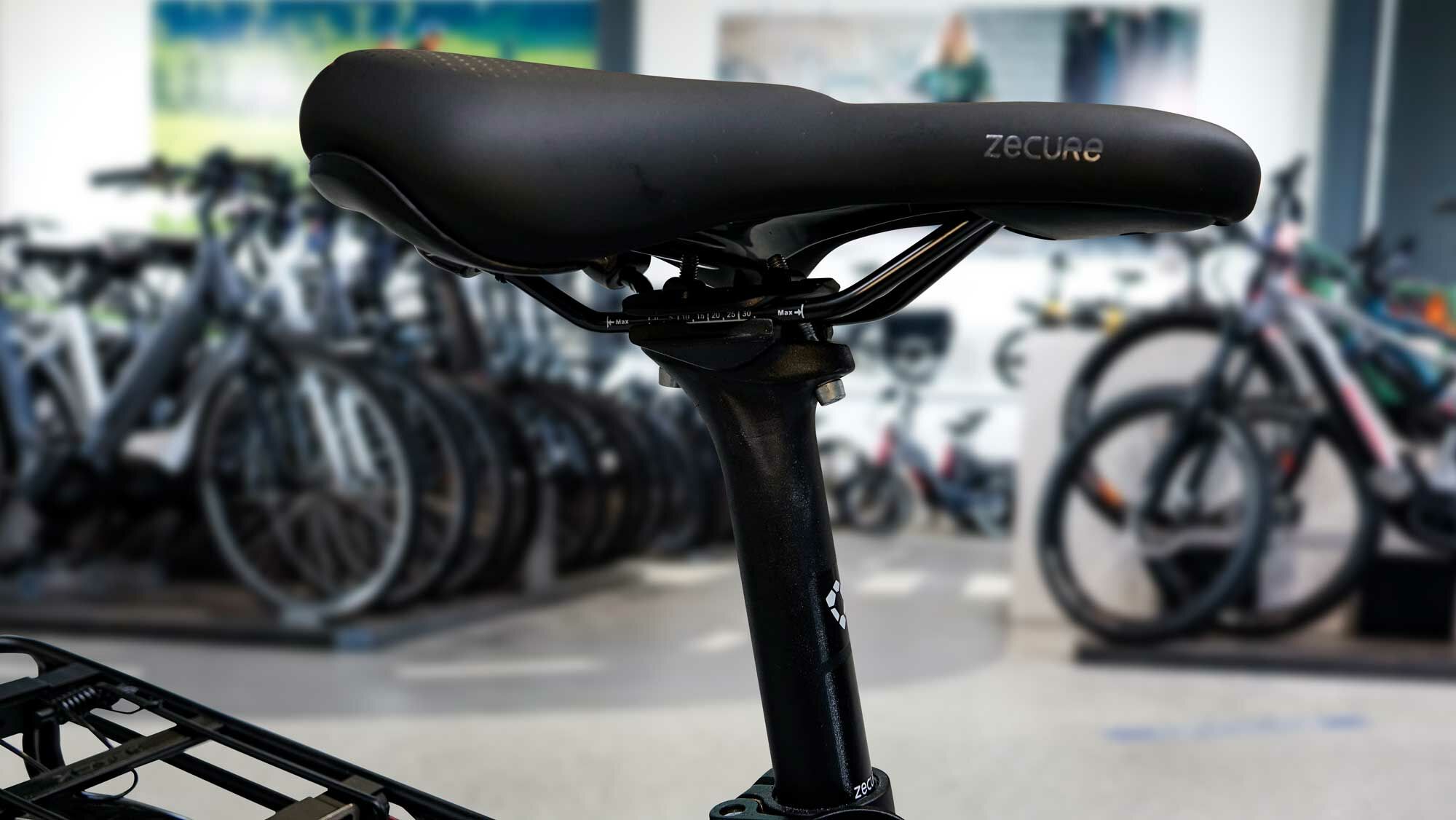 Pegasus Strong SL 8, 8-speed gear hub, men's bike, diamond, model 2021, 28 inches