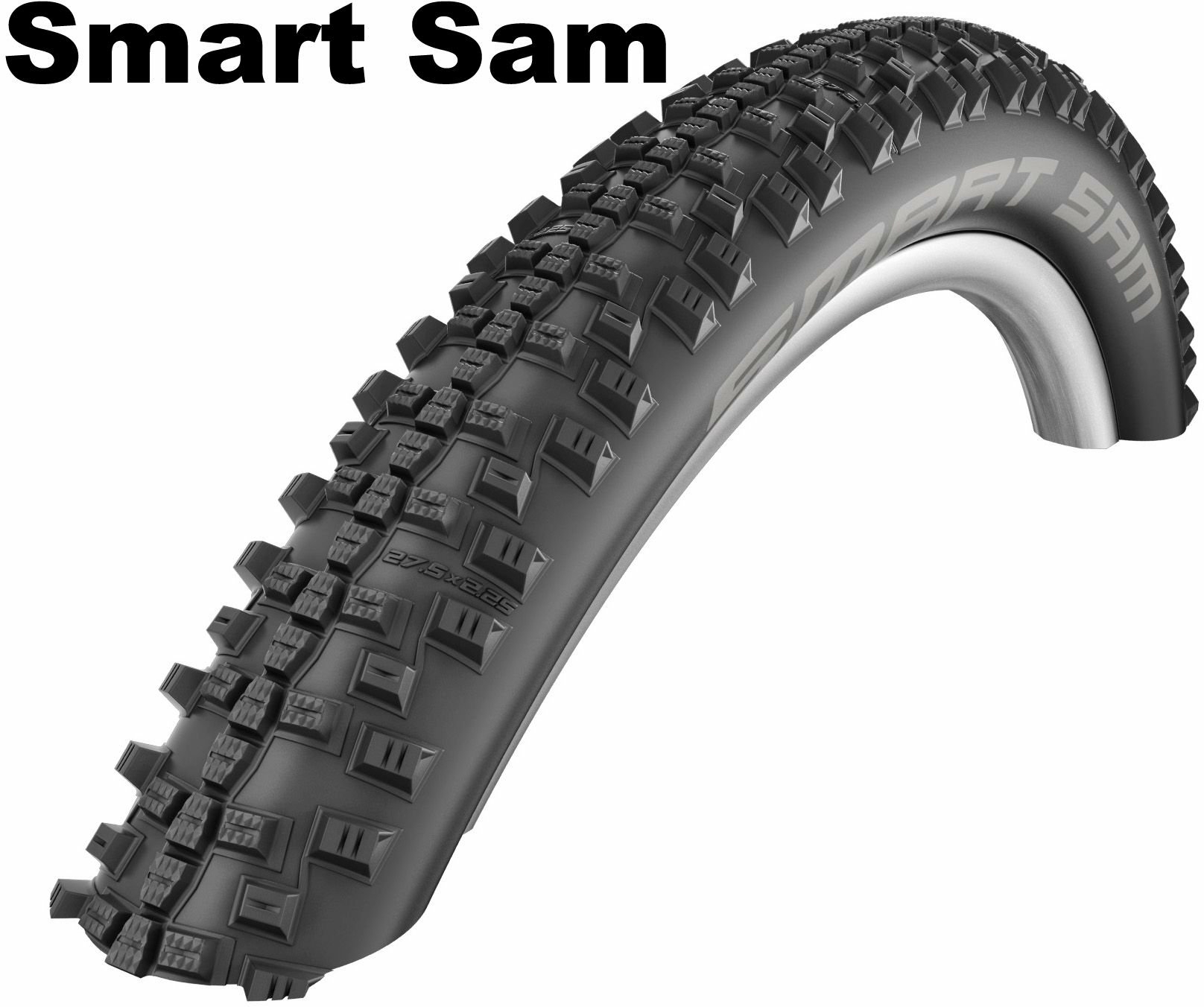 Schwalbe Performance Line - Performance, Smart Sam 54-507 da 24 pollici
