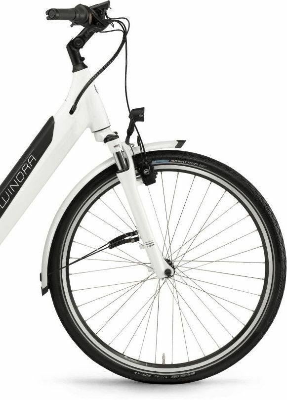 Winora Sinus iN8, cambio al mozzo a 8 velocità, bici da donna, Wave, modello 2021, 26 pollici