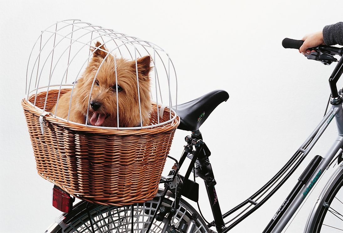 Cestino per animali da bicicletta Aumüller 199/880 cestino/cupola/supporto