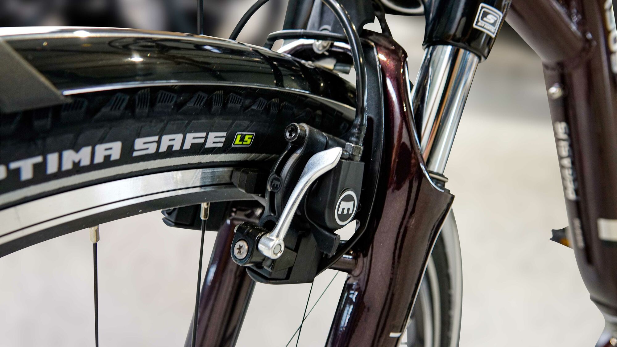 Pegasus Solero E8F Plus (400 Wh), cambio al mozzo a 8 velocità, bici da donna, Wave, modello 2021, 28 pollici