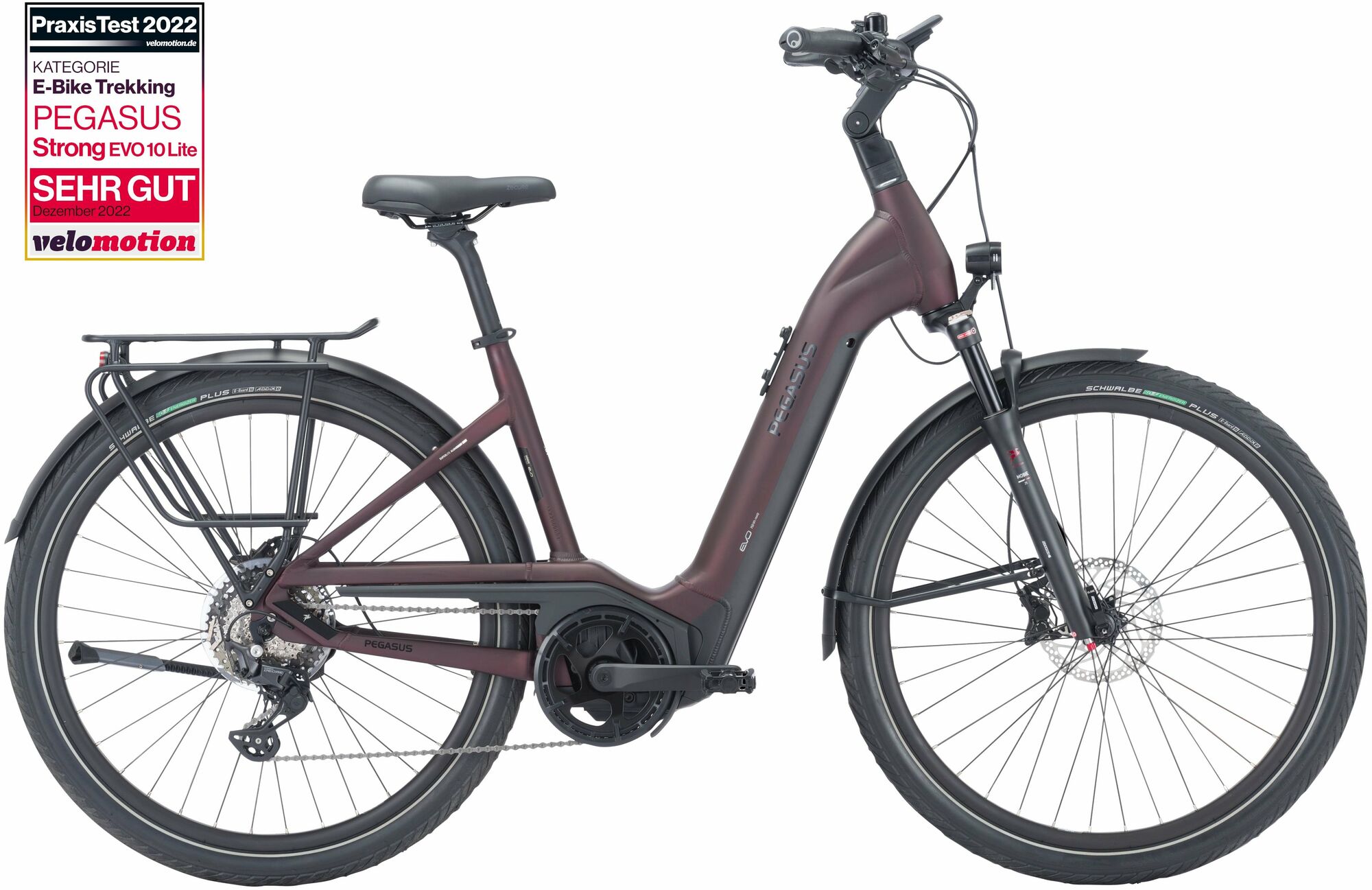 Pegasus Strong Evo 10 Lite (625 Wh), 10-speed derailleur gear, women's bike, Wave, model 2024, 28 inches