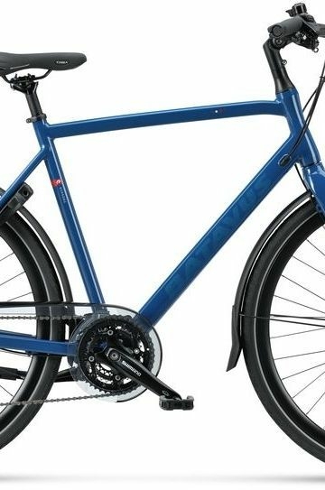 Batavus Dinsdag Sport, cambio a 30 velocità, bici da uomo, Diamant, modello 2021, 28 pollici
