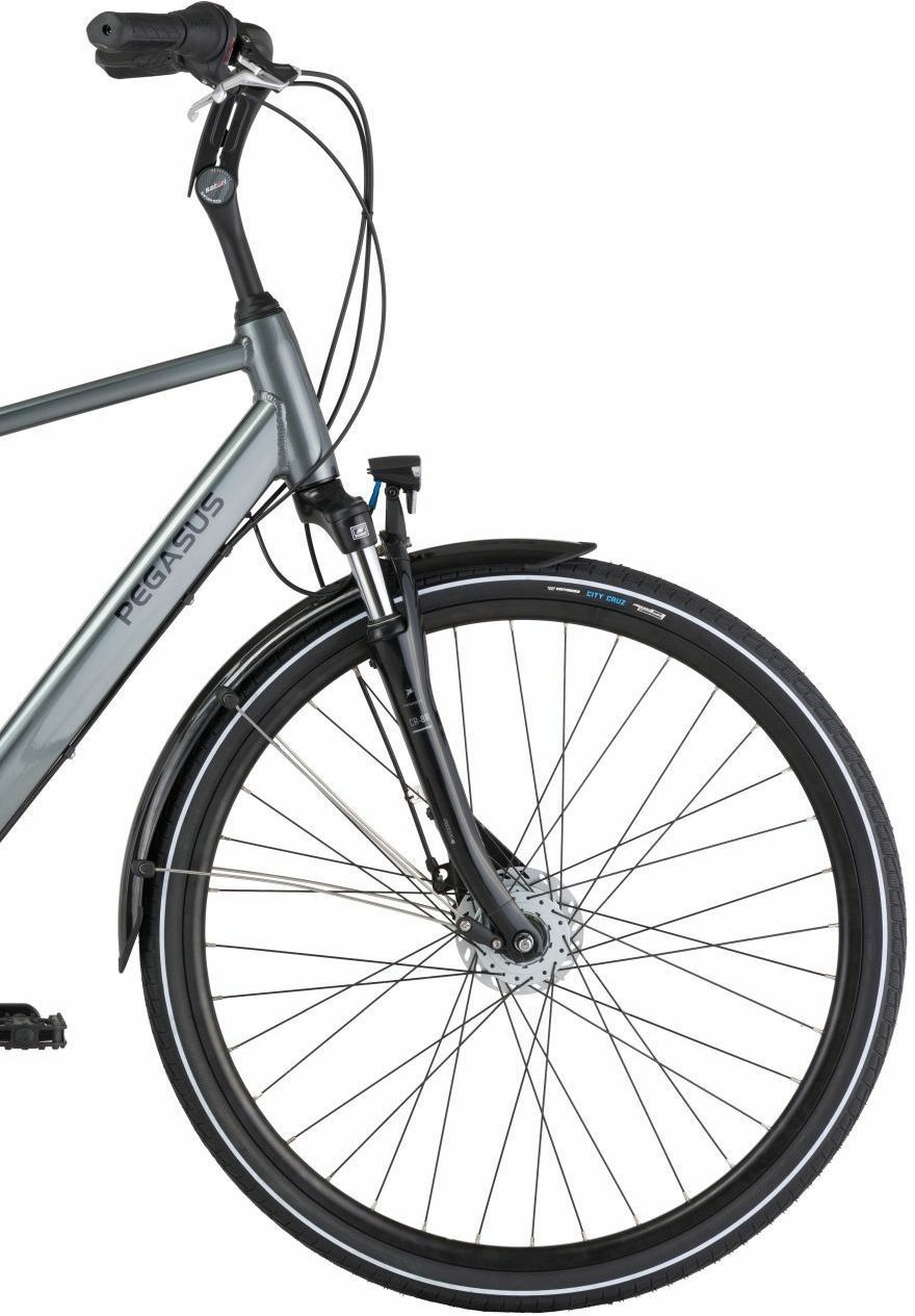 Pegasus Salerno 7 NL, cambio al mozzo a 7 marce, bici da uomo, diamante, modello 2021, 28 pollici