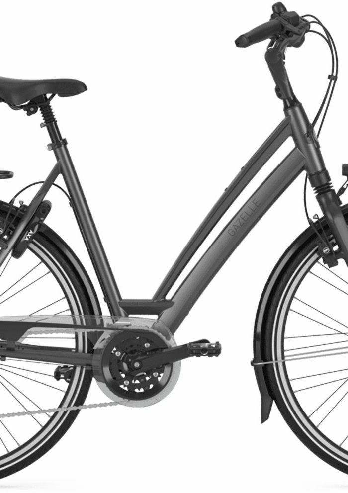 Gazelle CHAMONIX T30, 30-speed derailleur, women's bike, Wave, model 2023, 28 inches