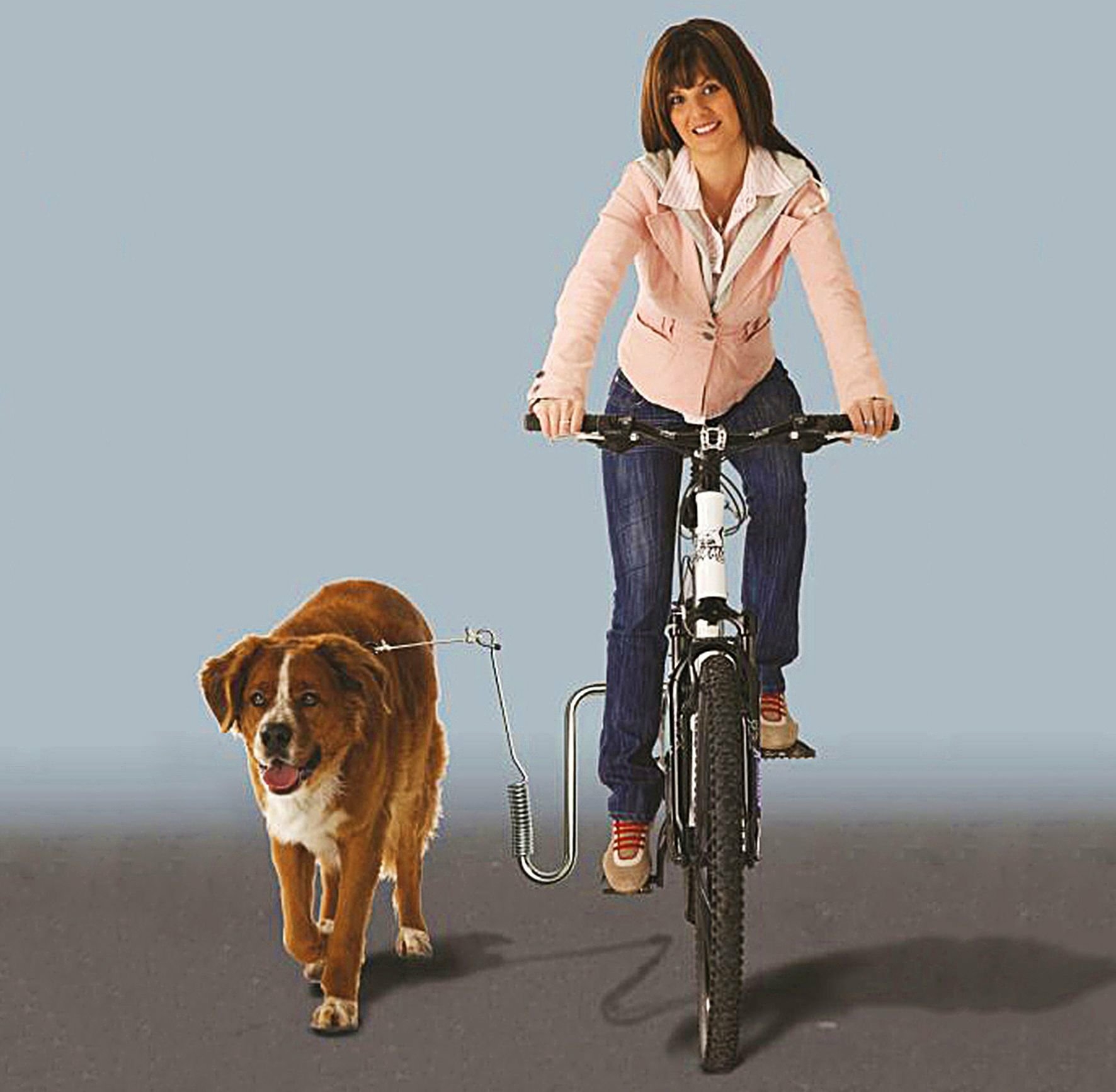 Small metal Dogrunner bike holder for the dog